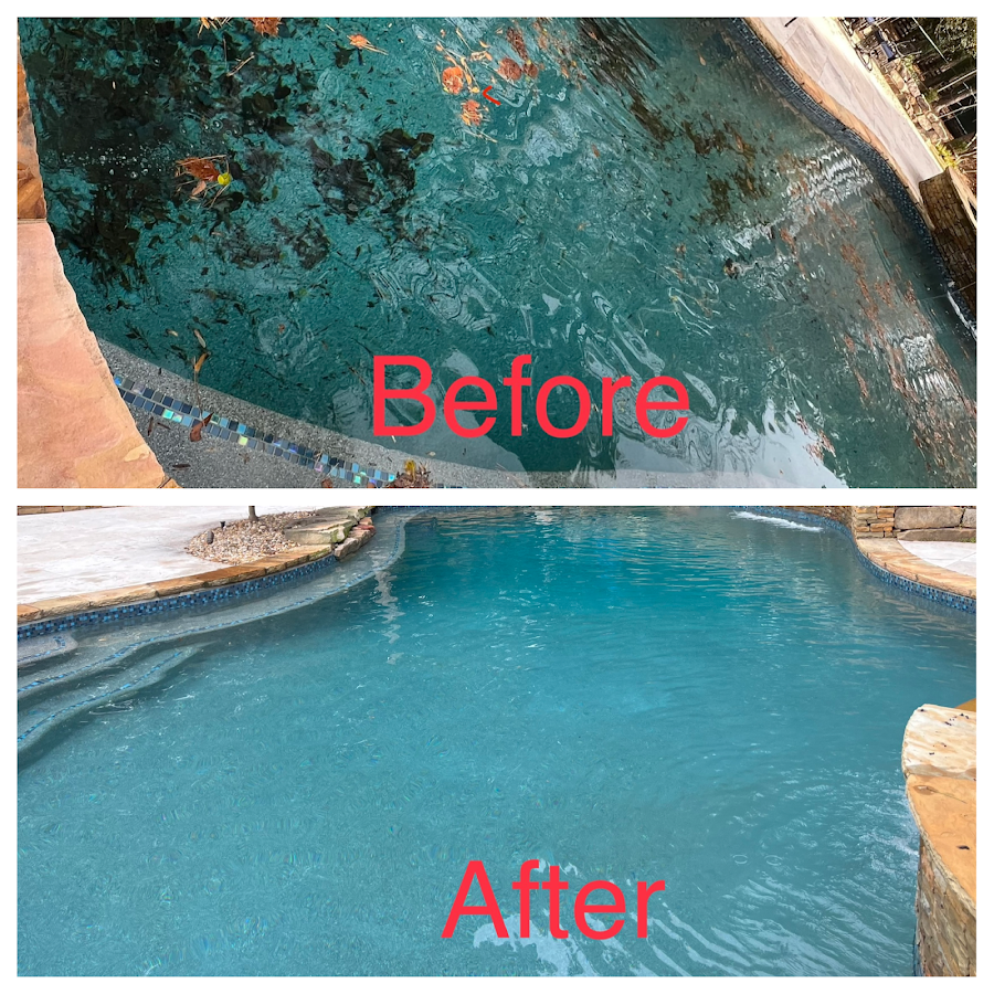 Pool before and after Green to Clean algae treatment, freeform pool
